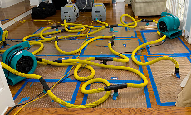 Professional Storm Water Damage Restoration technician working in Fort Monmouth, NJ